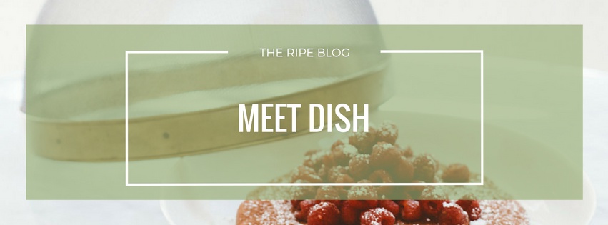 dish-blog-cover