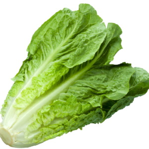 Ripe Organic Lettuce, Romaine