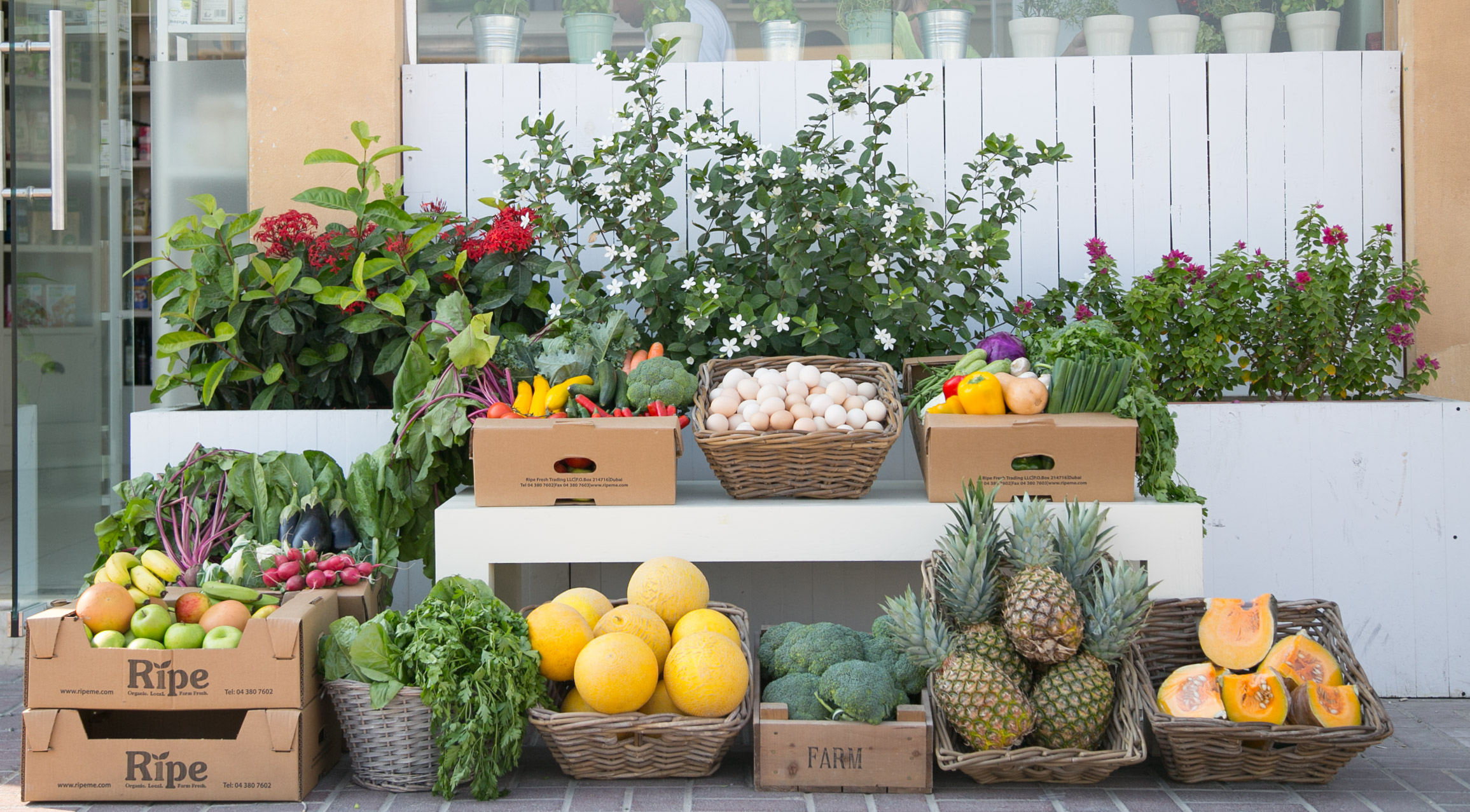 Organic Store Dubai | Farm Fresh Produce | Ripe Organic Shop