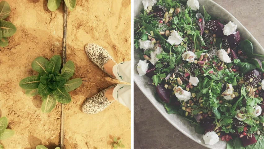 becky on farm and salad